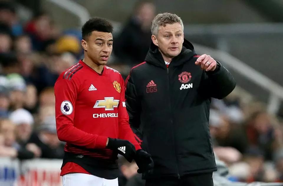 现出极高的 现出极高的